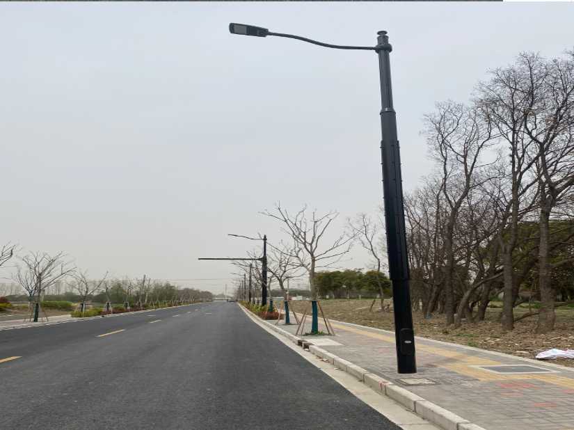 武冈市上海综合杆 太阳能路灯工程